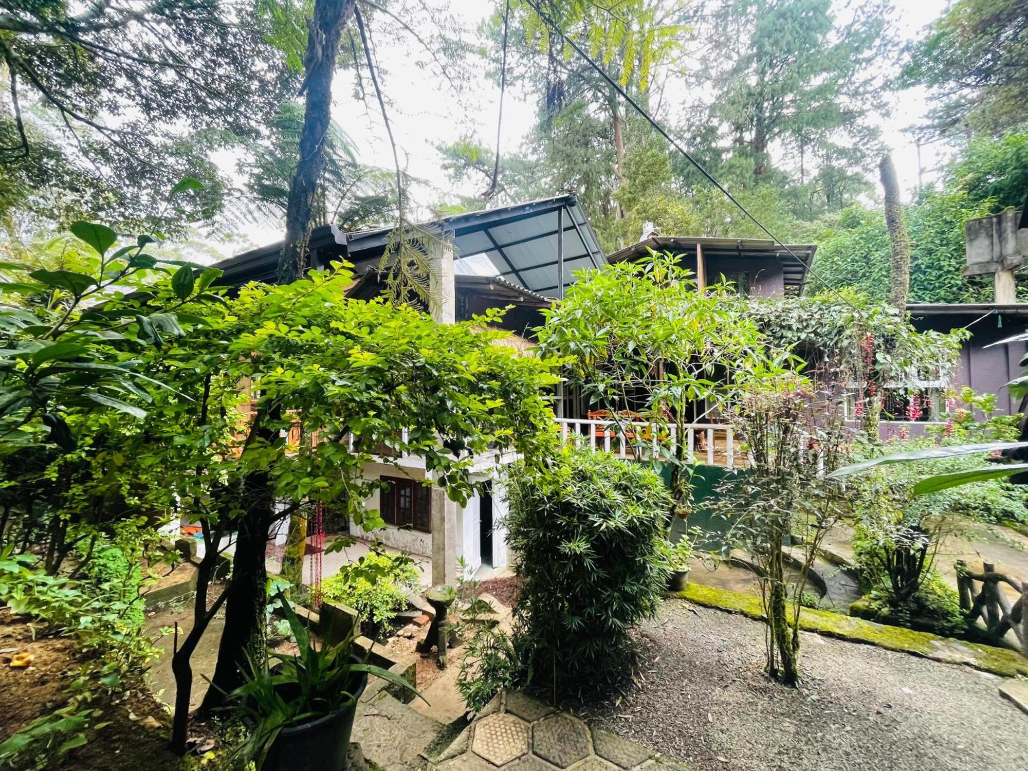 King Fern Cottage Nuwara Eliya Exteriör bild