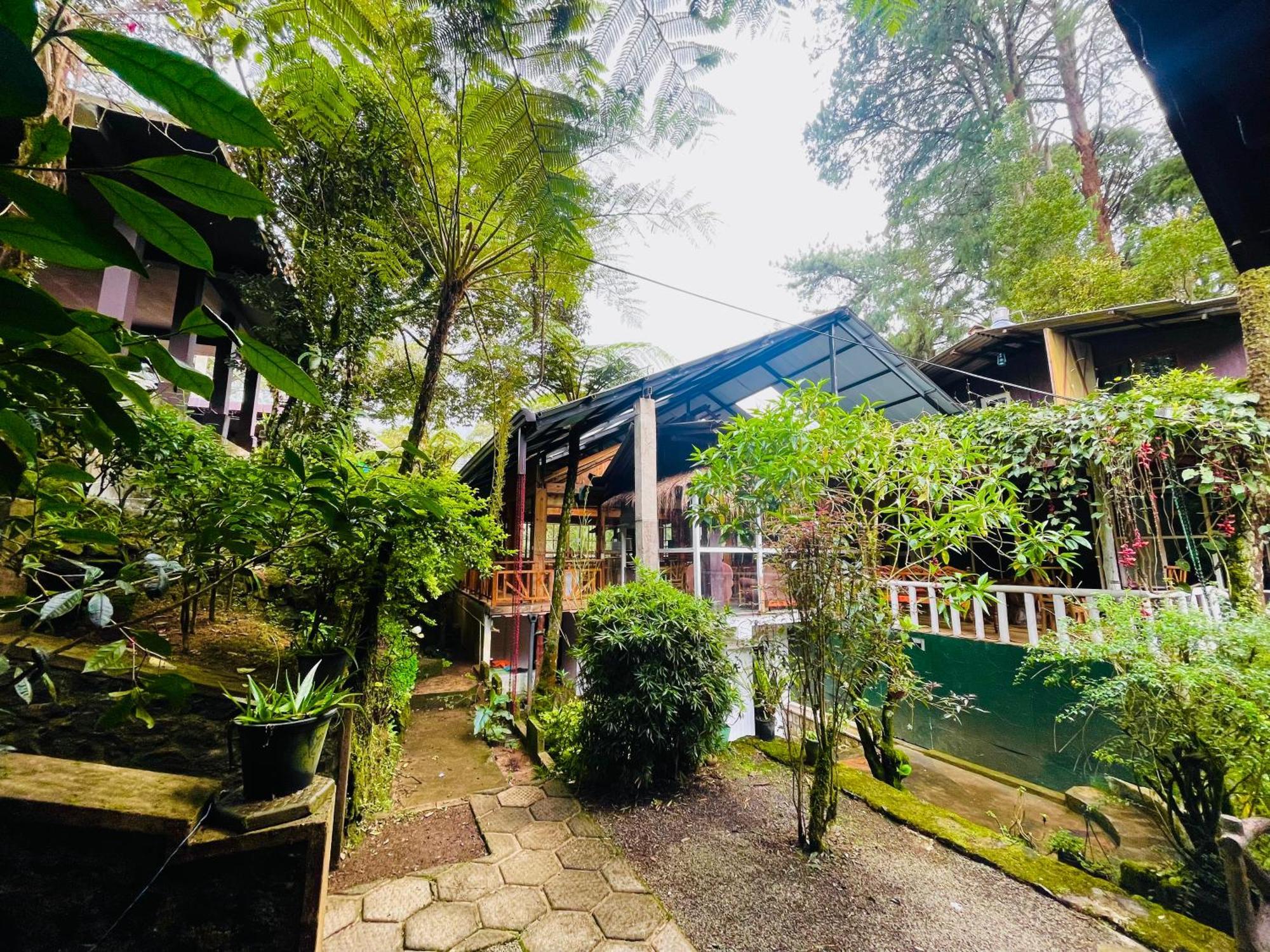 King Fern Cottage Nuwara Eliya Exteriör bild