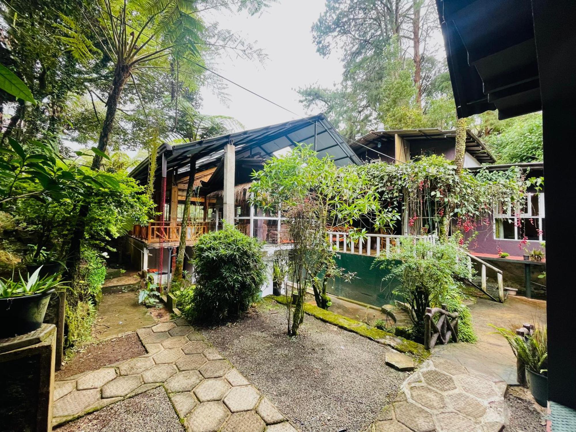 King Fern Cottage Nuwara Eliya Exteriör bild