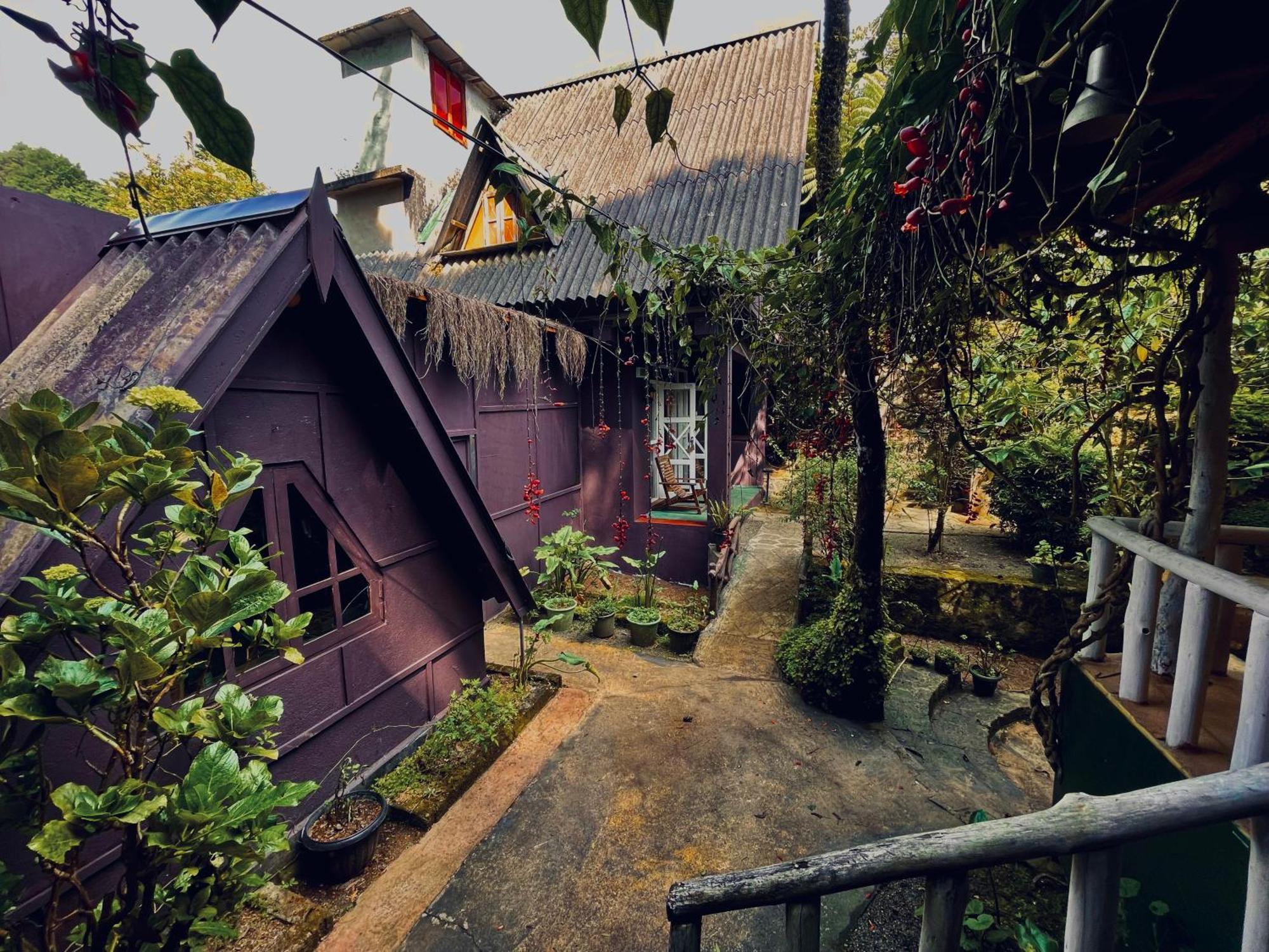 King Fern Cottage Nuwara Eliya Exteriör bild