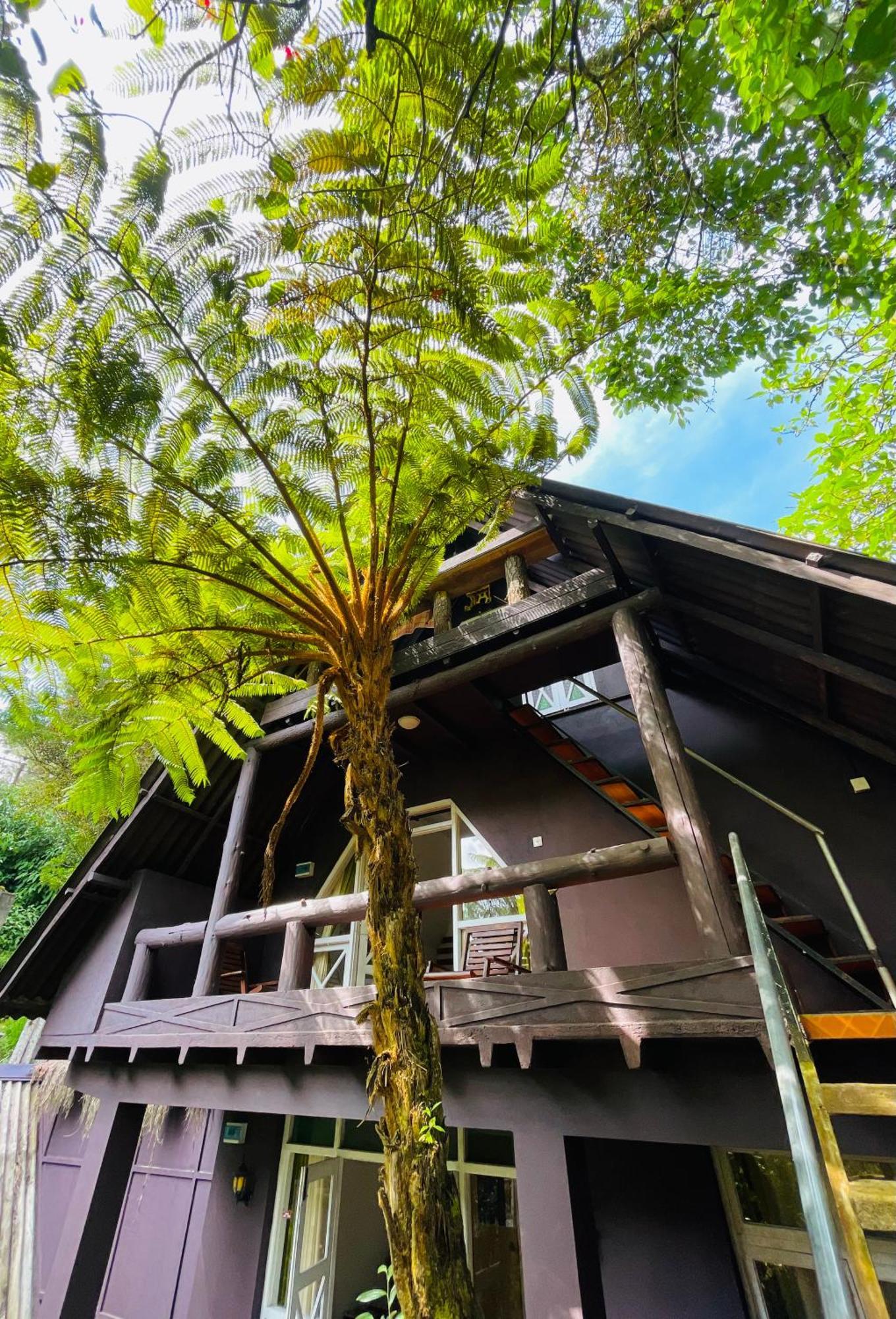 King Fern Cottage Nuwara Eliya Exteriör bild