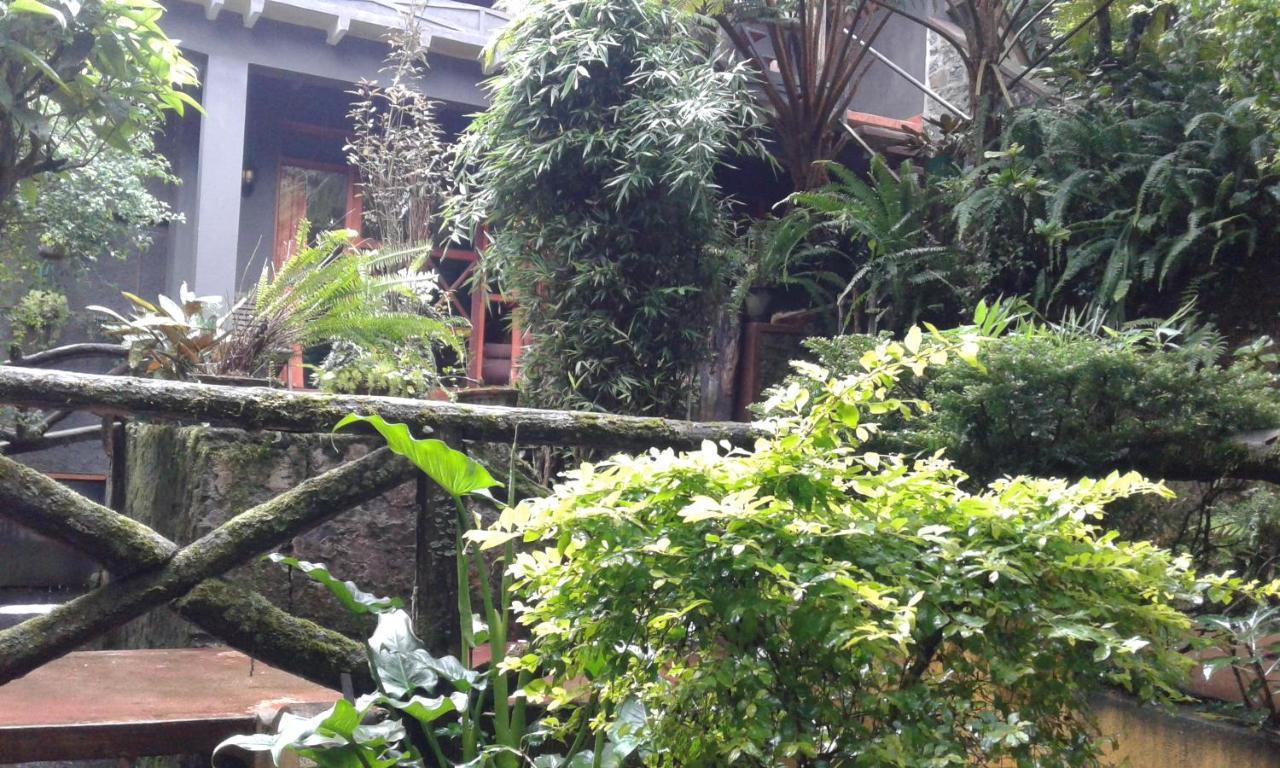 King Fern Cottage Nuwara Eliya Exteriör bild