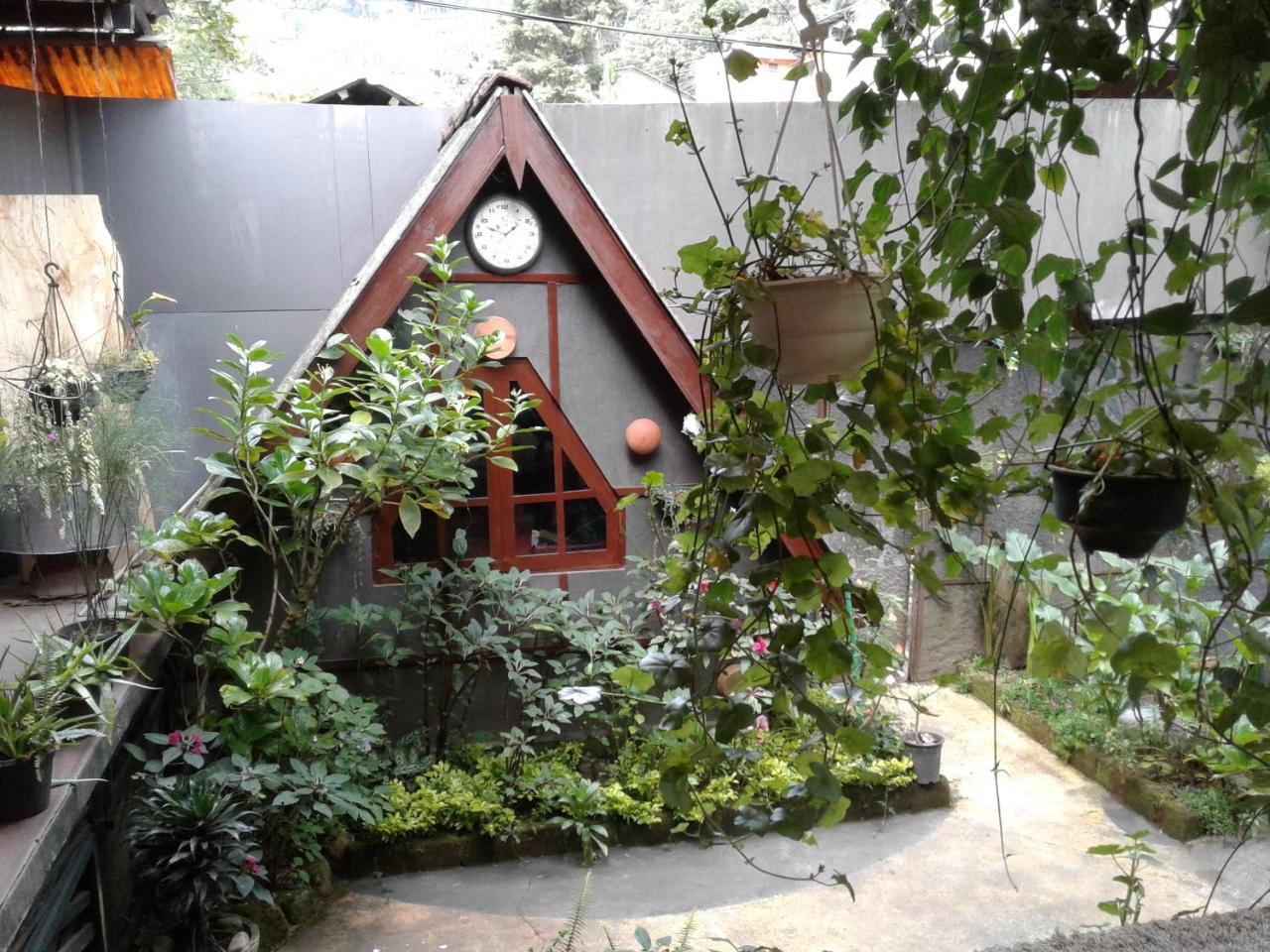 King Fern Cottage Nuwara Eliya Exteriör bild