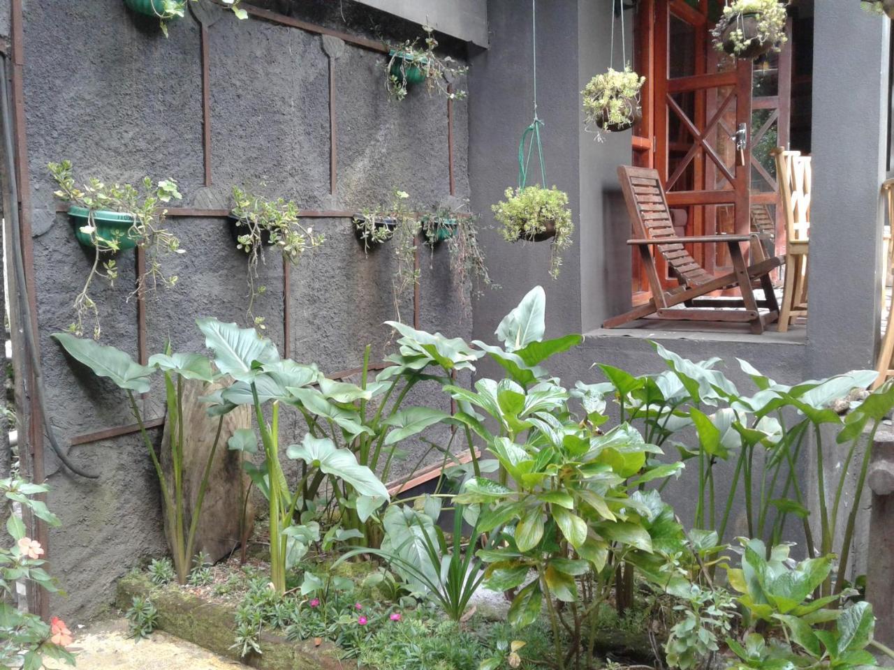 King Fern Cottage Nuwara Eliya Exteriör bild