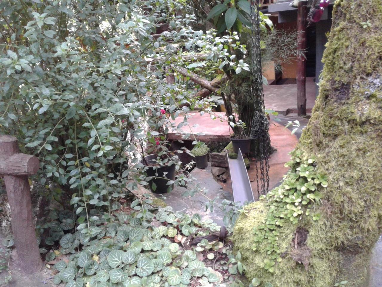 King Fern Cottage Nuwara Eliya Exteriör bild