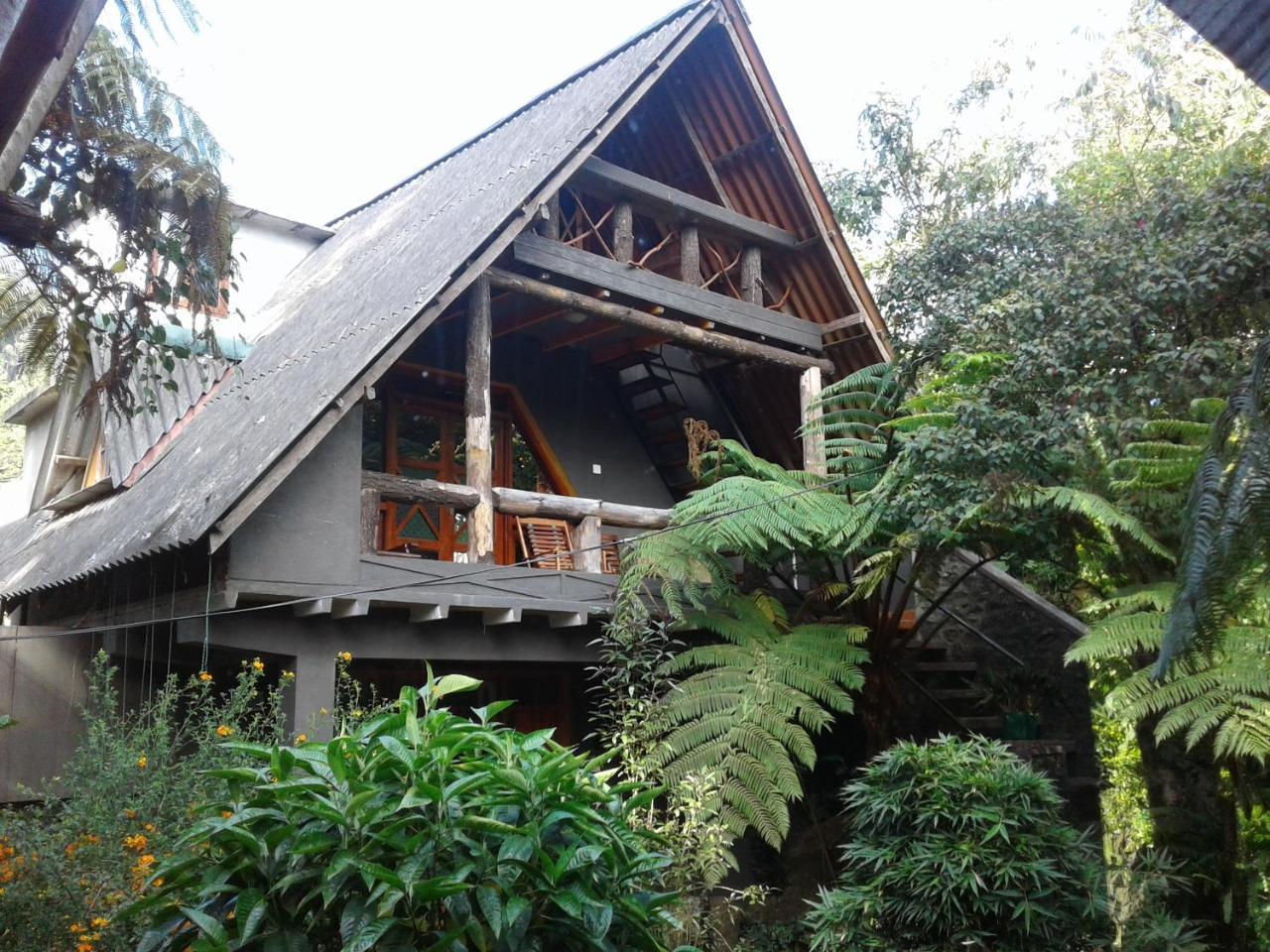 King Fern Cottage Nuwara Eliya Exteriör bild